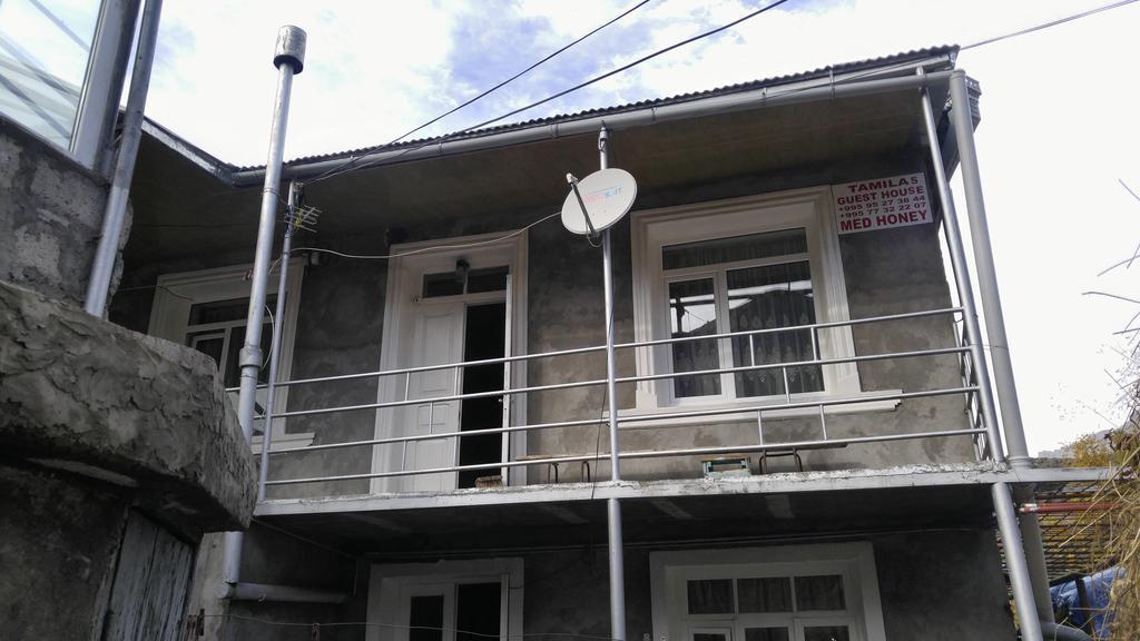 Tamila Guest House 卡兹贝吉 外观 照片